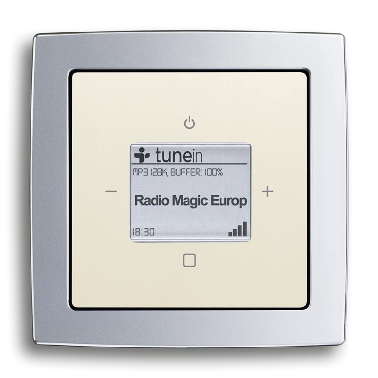 Busch-radio iNet